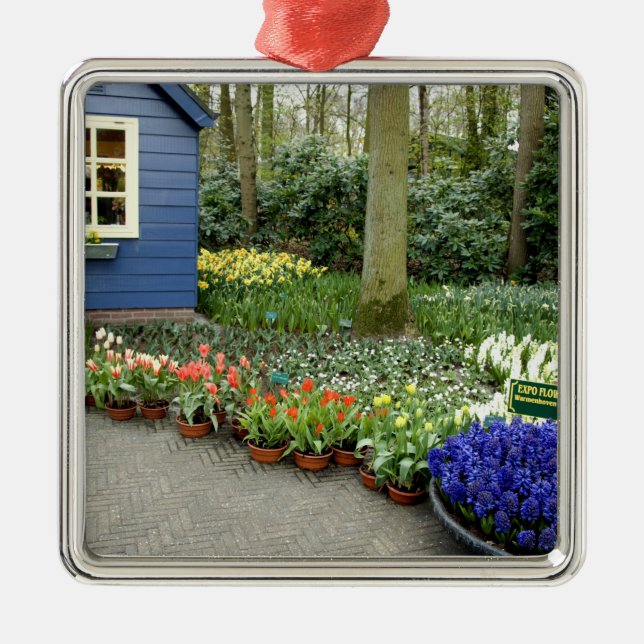 Netherlands aka Holland), Lisse. Keukenhof 11 Metal Ornament (Front)
