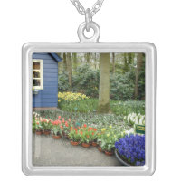 Netherlands aka Holland), Lisse. Keukenhof 11