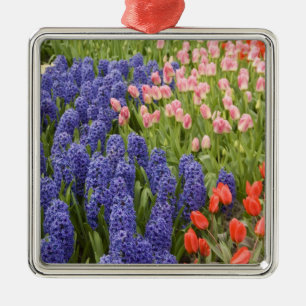 Netherlands aka Holland), Lisse. Keukenhof 2 Metal Ornament