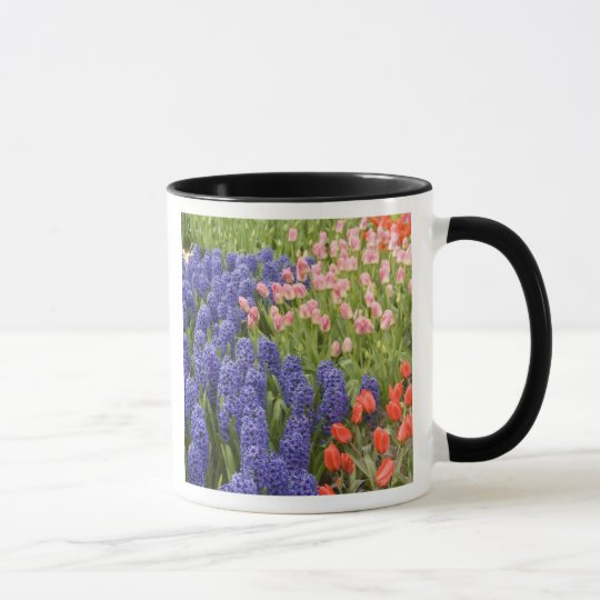 Netherlands aka Holland), Lisse. Keukenhof 2 Mug