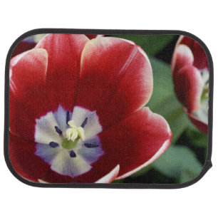 Netherlands (aka Holland), Lisse. Keukenhof 3 Car Floor Mat