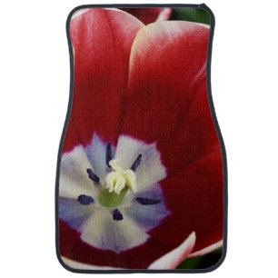Netherlands (aka Holland), Lisse. Keukenhof 3 Car Mat