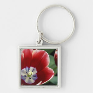 Netherlands (aka Holland), Lisse. Keukenhof 3 Keychain
