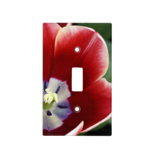 Netherlands (aka Holland), Lisse. Keukenhof 3 Light Switch Cover