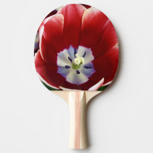 Netherlands (aka Holland), Lisse. Keukenhof 3 Ping-Pong Paddle