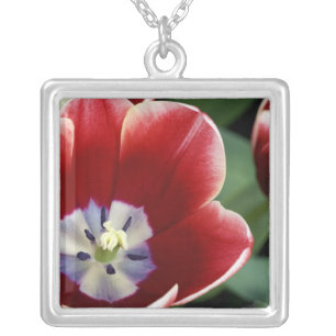 Netherlands (aka Holland), Lisse. Keukenhof 3 Silver Plated Necklace