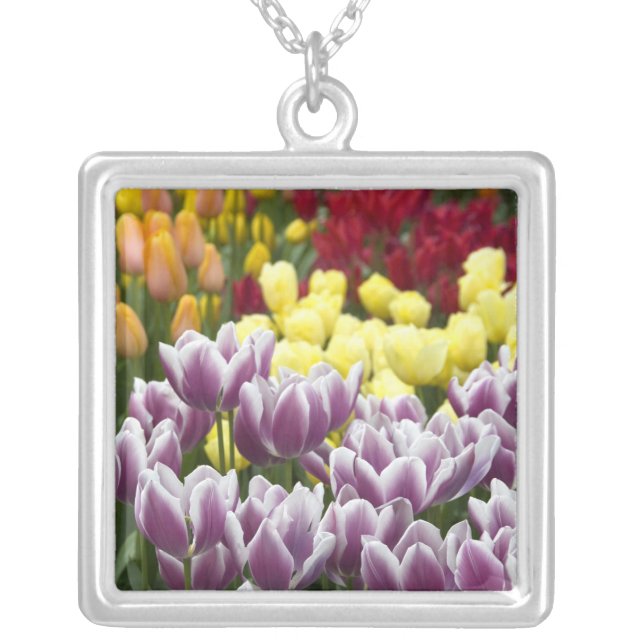 Netherlands aka Holland), Lisse. Keukenhof 3 Silver Plated Necklace (Front)