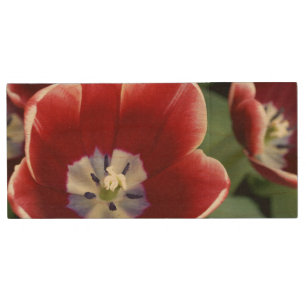 Netherlands (aka Holland), Lisse. Keukenhof 3 Wood USB Flash Drive