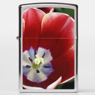 Netherlands (aka Holland), Lisse. Keukenhof 3 Zippo Lighter
