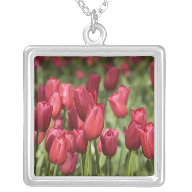 Netherlands (aka Holland), Lisse. Keukenhof 4 Silver Plated Necklace (Front)