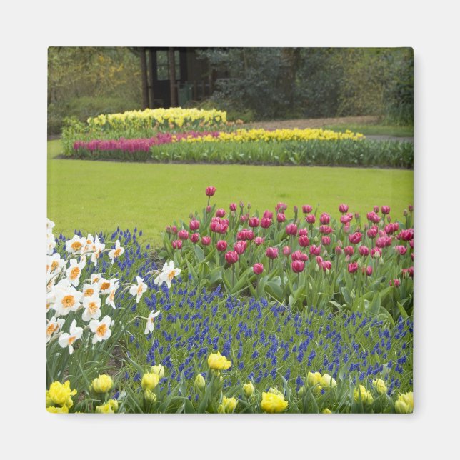 Netherlands aka Holland), Lisse. Keukenhof 5 Magnet (Front)