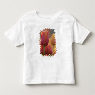 Netherlands aka Holland), Lisse. Keukenhof 6 Toddler T-shirt