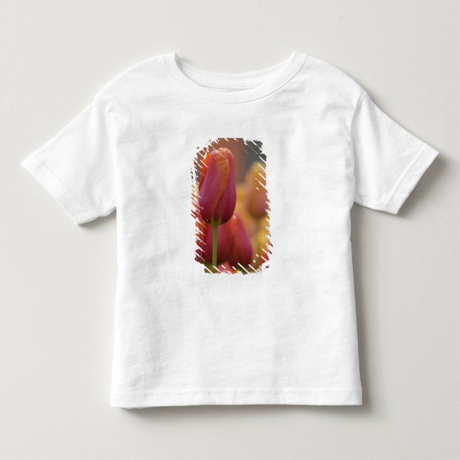 Netherlands aka Holland), Lisse. Keukenhof 6 Toddler T-shirt (Front)