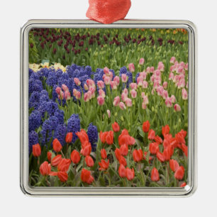 Netherlands aka Holland), Lisse. Keukenhof 8 Metal Ornament