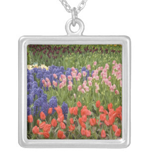 Netherlands aka Holland), Lisse. Keukenhof 8 Silver Plated Necklace