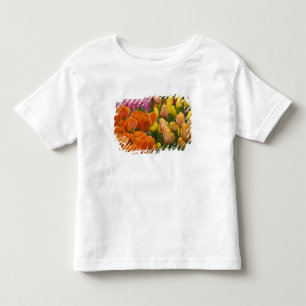 Netherlands aka Holland), Lisse. Keukenhof 9 Toddler T-shirt