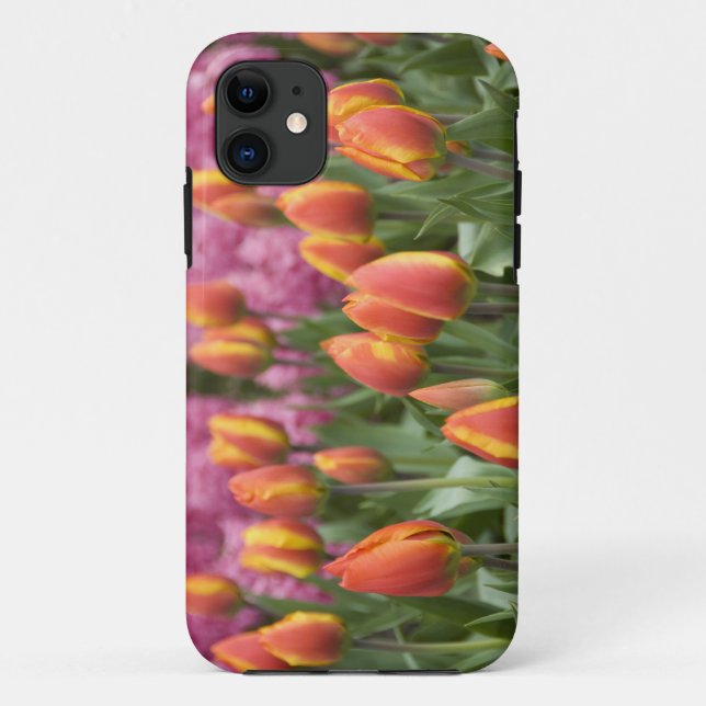 Netherlands (aka Holland), Lisse. Keukenhof Case-Mate iPhone Case (Back)
