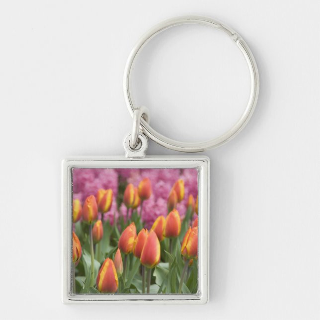 Netherlands (aka Holland), Lisse. Keukenhof Keychain (Front)
