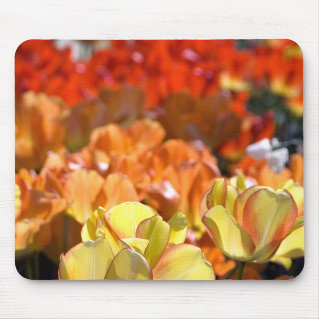 Netherlands aka Holland), Lisse. Keukenhof Mouse Pad (Front)