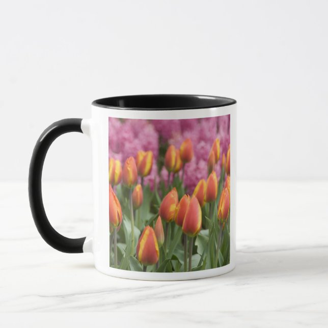 Netherlands (aka Holland), Lisse. Keukenhof Mug (Left)