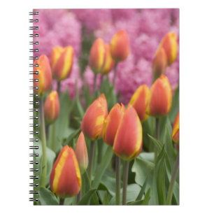 Netherlands (aka Holland), Lisse. Keukenhof Notebook