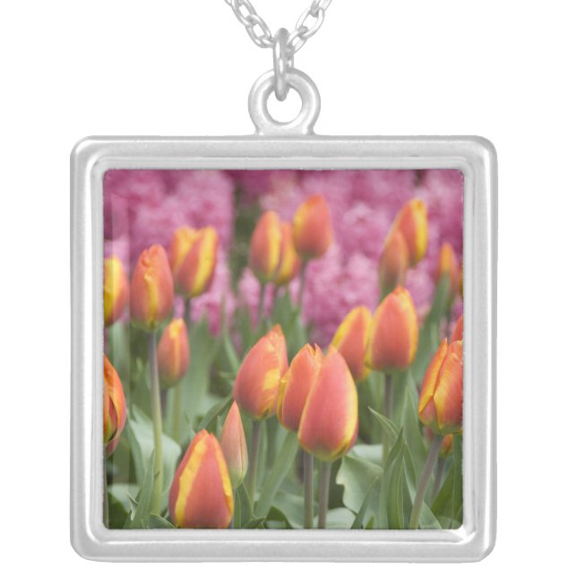 Netherlands (aka Holland), Lisse. Keukenhof Silver Plated Necklace (Front)