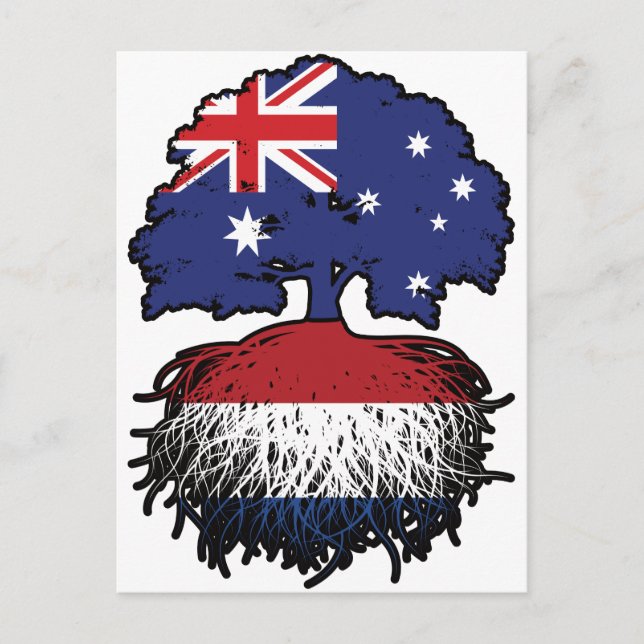 Netherlands Dutch Australian Australia Tree Roots Postcard (Front)
