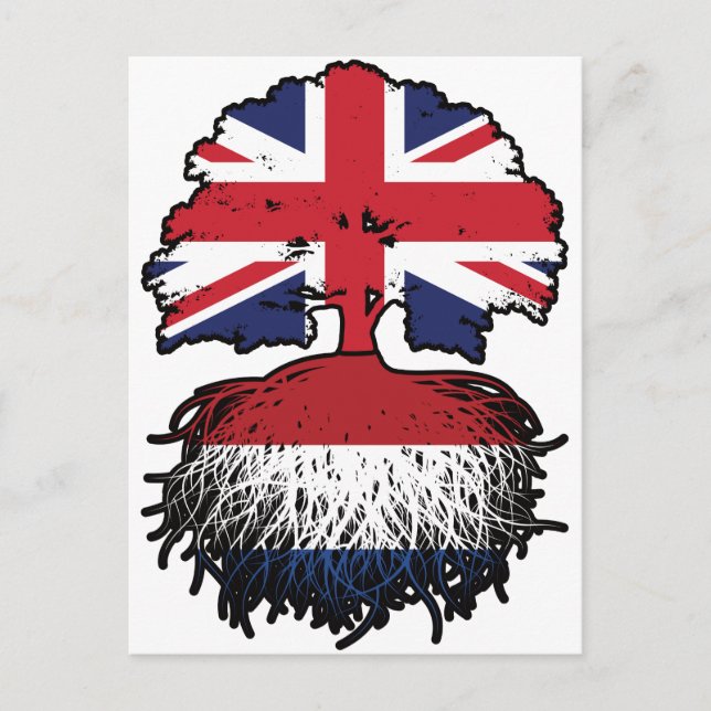 Netherlands Dutch British UK United Kingdom Postcard (Front)