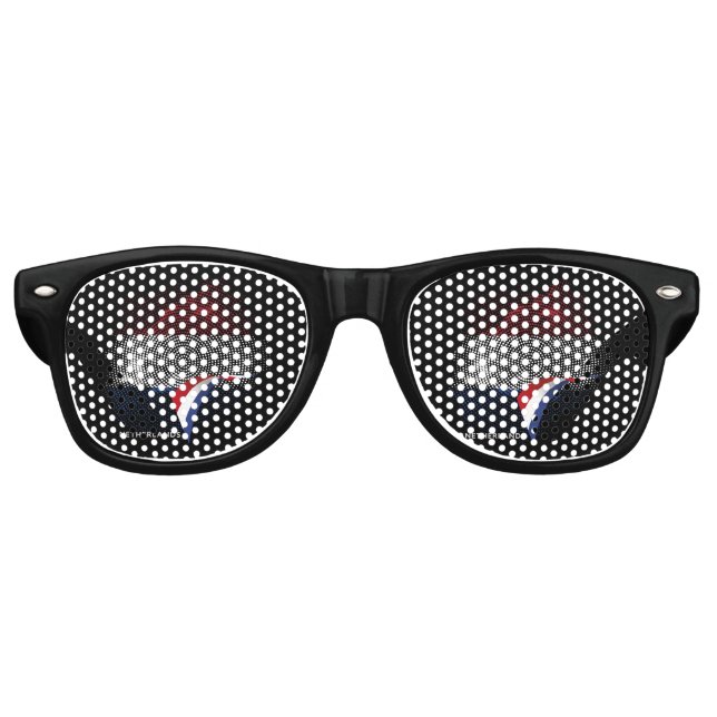 Netherlands flag retro sunglasses (Front)