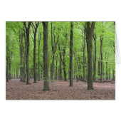 Netherlands Forest (Front Horizontal)