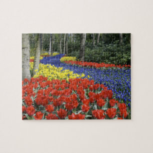 Netherlands, Holland, Lisse, Keukenhof Gardens Jigsaw Puzzle