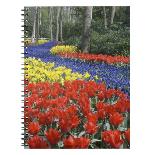 Netherlands Holland Lisse Keukenhof Gardens Notebook