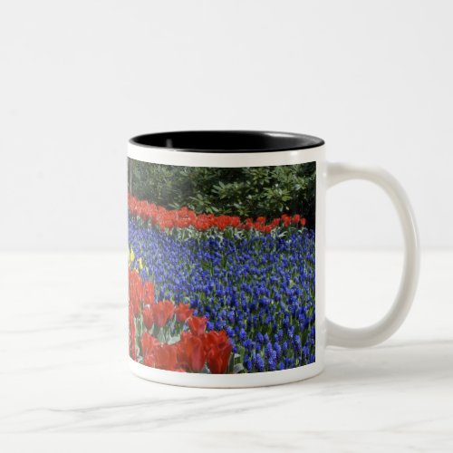 Netherlands Holland Lisse Keukenhof Gardens Two_Tone Coffee Mug