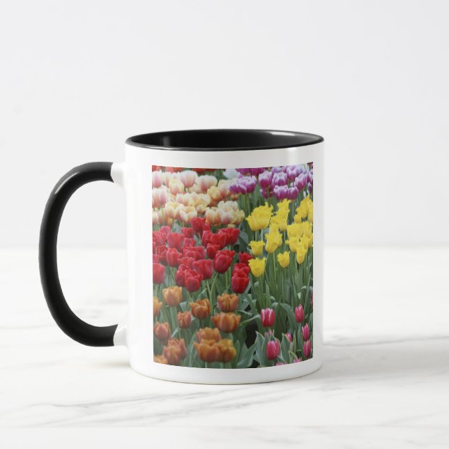 Netherlands, Keukenhoff Gardens, tulips. Mug (Left)
