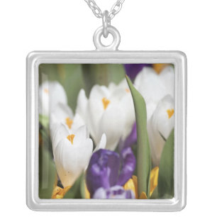 Netherlands, Keukenhoff Gardens, Tulips. Silver Plated Necklace