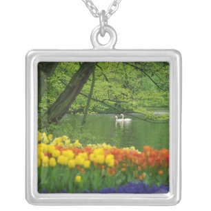 Netherlands, Lisse. White swans on pond amid Silver Plated Necklace