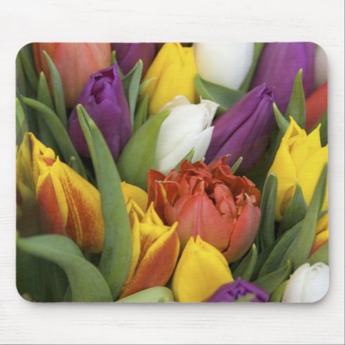 Netherlands South Holland Amsterdam Mouse Pad