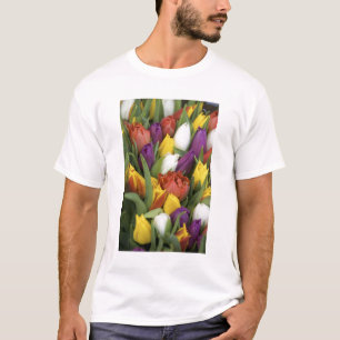 Netherlands, South Holland, Amsterdam T-Shirt