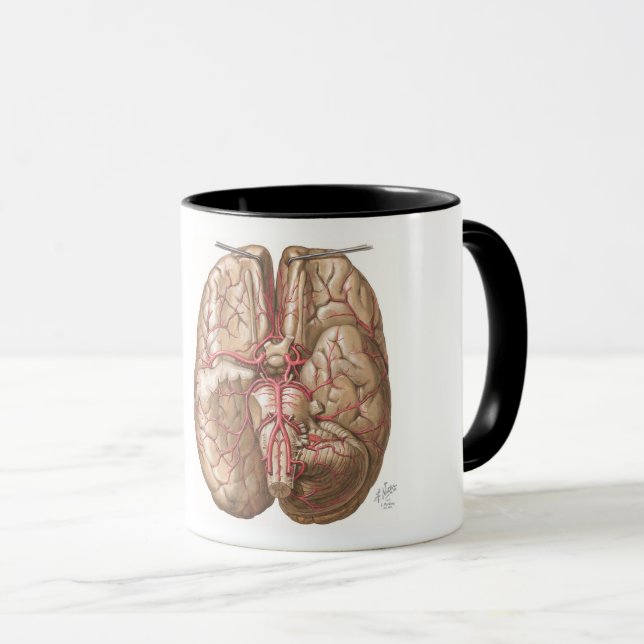Netter Basal View of Brain  - Mug (Front Right)
