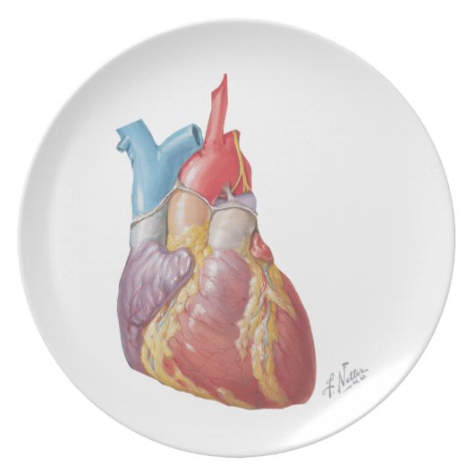 Netter Heart "Plate" Melamine Plate (Front)
