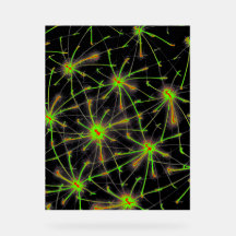 Neural Network Burst - Premium Acrylic Sign