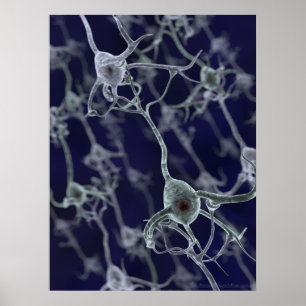 Neural Network Poster