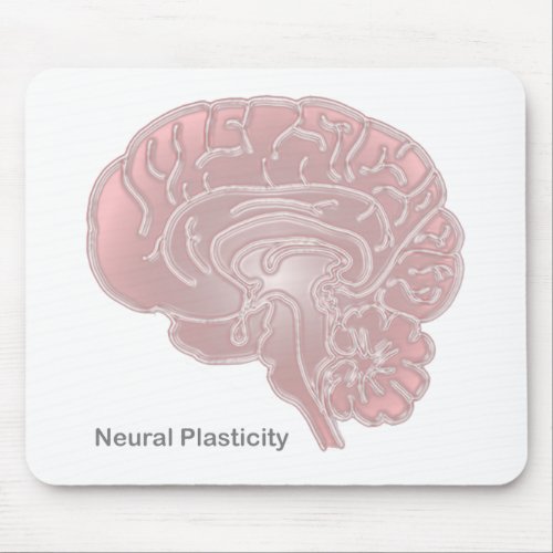 Neural Plasticity Mouse Pad