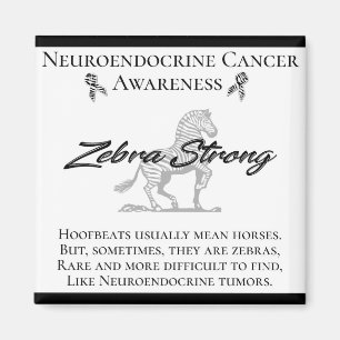 Neuroendocrine Cancer Awareness Zebra Strong Magnet