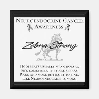 Neuroendocrine Cancer Awareness Zebra Strong Magnet