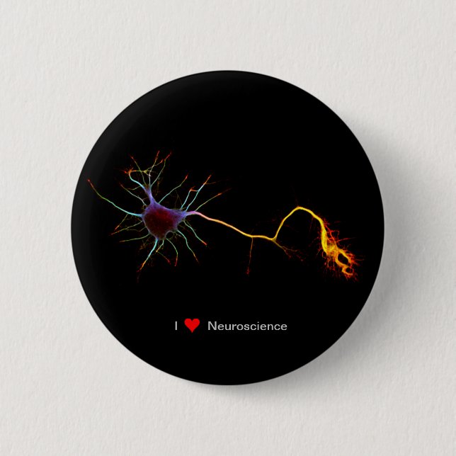NeuroFlame (Axis+Igneus) Pin (Front)