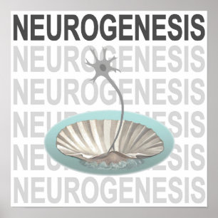 Neurogenesis Poster