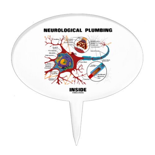 Neurological Plumbing Inside Neuron  Synapse Cake Topper