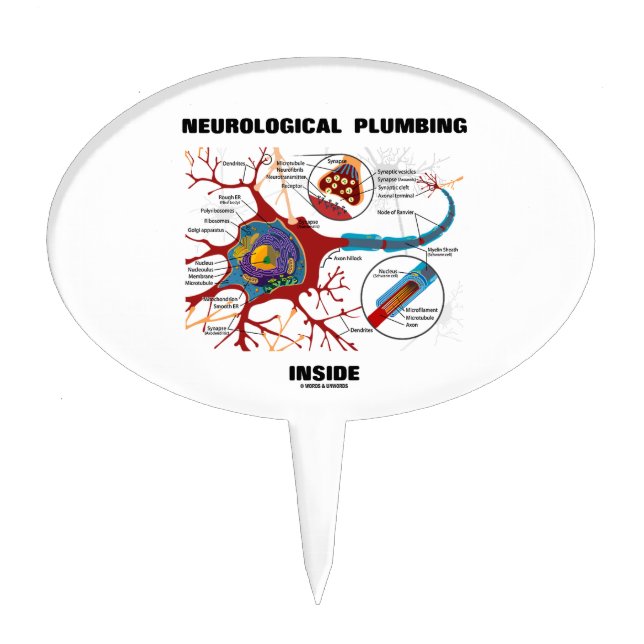 Neurological Plumbing Inside (Neuron / Synapse) Cake Topper (Front)