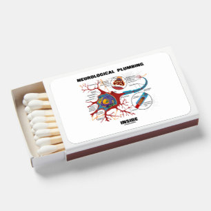 Neurological Plumbing Inside Neuron Synapse Humor Matchboxes